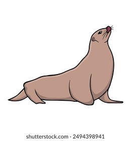 sea lion vector illustration,isolated on white background,top view