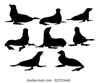 Sea Lion Vector Set