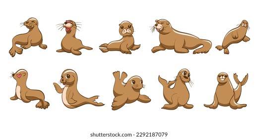 Diseño gráfico de la colección de conjuntos de vectores de león marino