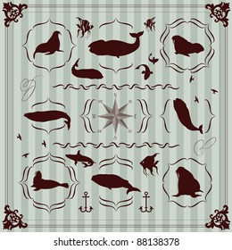 Sea lion and walrus seal vintage frames and elements illustration collection