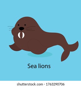 Sea lions vector. one animal that lives at arctic