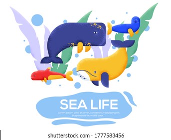 Sea Live flyer, magazines, poster, book cover, banners. invitation cards concept background. Layout illustration modern slider page.  Grain texture and noise effect.