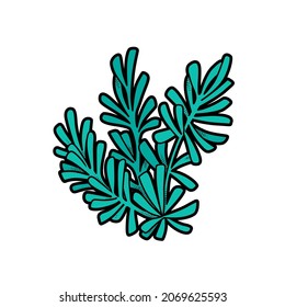 Sea lush algae  color variation for coloring page isolated on white background