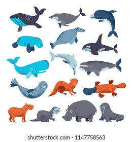 Sea mammal vector water animal character dolphin walrus and whale in sealife or ocean illustration marine set of seal or hippo illustration set isolated on white background