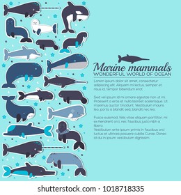 Sea mammals animal collection icons set. Vector fish illustration in ocean life background. Marine exotic creature flat sticker design