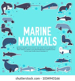 Sea mammals animal collection icons circle set. Vector fish illustration in ocean life background. Marine exotic creature flat design.