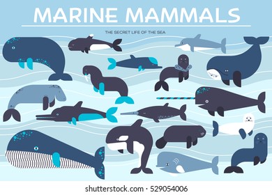 Sea mammals animal collection icons set. Vector fish illustration in ocean life background. Marine exotic creature flat design 