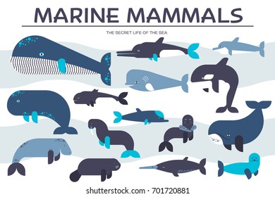 Sea mammals animal collection icons set. Vector fish illustration in ocean life background. Marine exotic creature flat design.