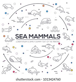 Sea mammals animal thin lines collection icons circle set. Vector outline fish illustration in ocean life background. Marine exotic creature flat design 