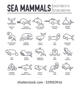 Sea Mammals Animal Thin Lines Collection Icons Set. Vector Outline Fish Illustration In Ocean Life Background. Marine Exotic Creature Flat Design 