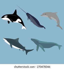  Sea mammals image design set for illustration, postcards, posters, labels, prints and other design needs. 