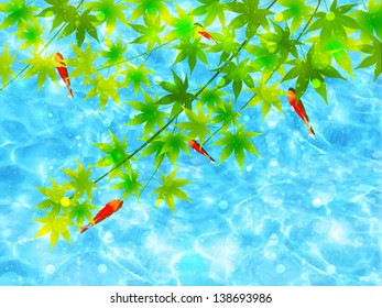 Sea maple goldfish