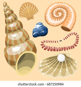 Sea marine animals and shells souvenirs cartoon vector illustration spiral tropical mollusk mussel decoration