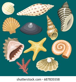 Sea marine animals and shells souvenirs cartoon vector illustration spiral tropical mollusk mussel decoration