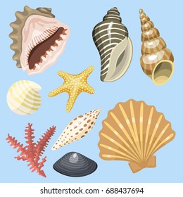 Sea marine animals and shells souvenirs cartoon vector illustration spiral tropical mollusk mussel decoration