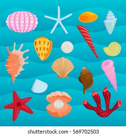 Sea marine animals and shells vector illustration.