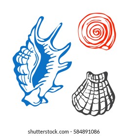 Sea marine shells hand drawn sketch vector illustration.