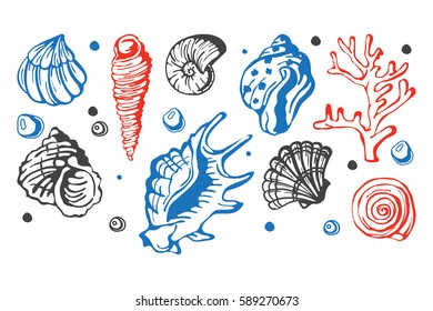 Sea marine shells hand drawn sketch vector illustration.