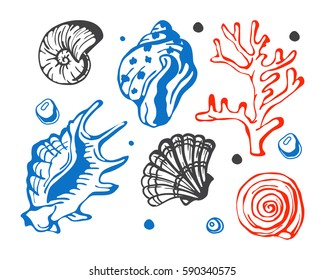 Sea marine shells hand drawn sketch vector illustration.