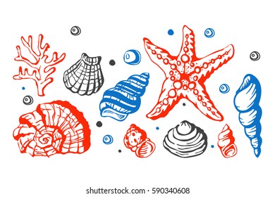 Sea marine shells hand drawn sketch vector illustration.