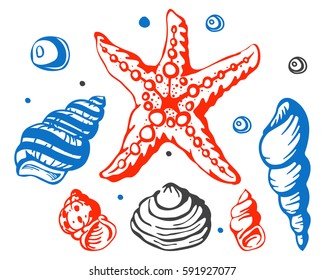 Sea marine shells hand drawn sketch vector illustration.
