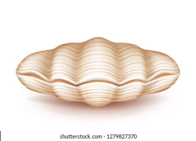 Sea Mollusk Closed, Beige Shell 3d Realistic Vector Icon Isolated On White Background. Original Soapbox, Decorative Case For Jewelery Of Pearls, Wedding Ring Box From Natural Materials Illustration