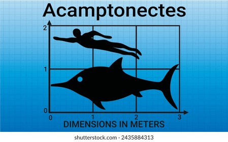 Sea monsters. Comparing the size of Acamptonectes to the average adult human male (1.8 meters)