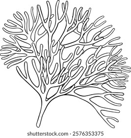 sea moss isolated outline illustration