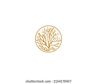 Sea Moss Logo Design. Beautiful Algae Logo, Algae Icon White Background.