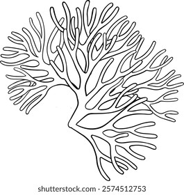 sea moss outline illustration illustration