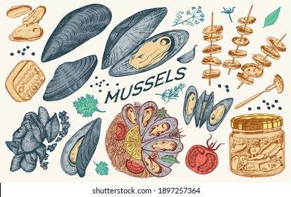 Sea mussels in vintage retro style. Nautical molluscs. Ocean food. Vector illustration. Hand drawn engraved retro sketch. Antique old monochrome style.