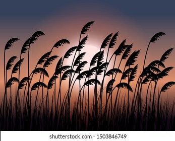 Sea Oats Silhouette In Sunset