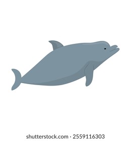 Sea And Ocean Animal Illustration - Dolphin