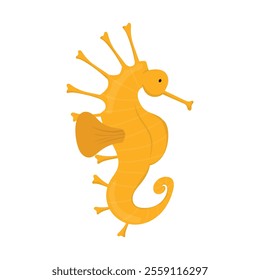 Sea And Ocean Animal Illustration - Sea Horse