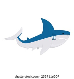 Sea And Ocean Animal Illustration - Shark