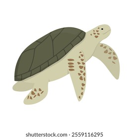 Sea And Ocean Animal Illustration - Turtle