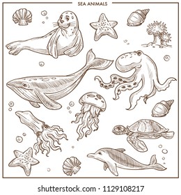 Sea and ocean animals or fish vector sketch