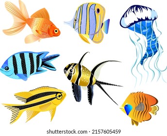 Sea and ocean fish set of colorful decorative sea creaturesStriped fish and jellyfish Vector