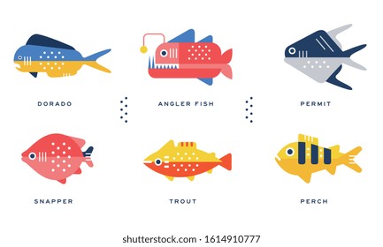 Sea and Ocean Fishes Collection, Dorado, Angler Fish, Permit, Snapper, Trout, Perch Vector Illustration