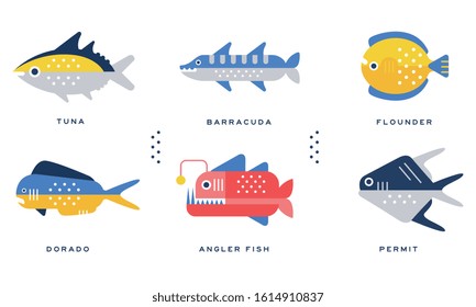 Sea and Ocean Fishes Collection, Tuna, Barracuda, Flounder, Dorado, Angler Fish, Permit Vector Illustration