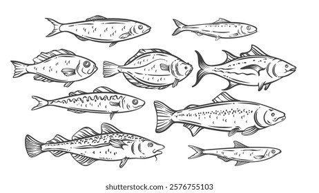 Sea and ocean fishes line icon set. Outline hand drawn sketches of stylized fish species, vintage wild and farm underwater animals. Seafood, fishing mascots, simple icon collection vector illustration