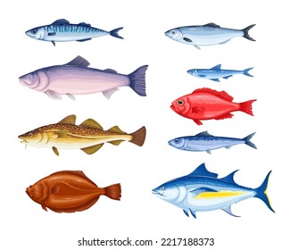 Los peces marinos y oceánicos son una ilustración vectorial. Caricatura de pesca aislada con atún de salmón anchoa caballa arenque halibut sardina pez perca roja, pesca de agua salada y objetos de menú de comida