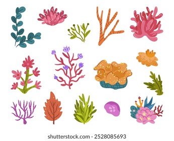 Sea or ocean flora, isolated marine algae and flower plants with leaves and stems. Vector oceanic and aquatic ecosystem elements. Isolated flourishing seaweed and coral, vegetation and botany for fish