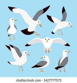 Sea, Ocean, Gull, bird in a vector flat style. Cartoon atlantic seabird, seagulls flying on blue sky background