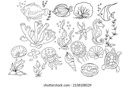 sea ​​fish ocean travel cruise shells coloring book for kids doodle sketch hand drawn big set separately on white background elements