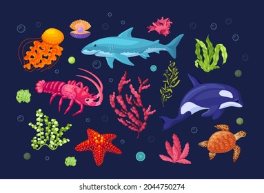 Sea and ocean underwater animals with marine flora. Killer whale, sea turtle, lobster, octopus, starfish, jellyfish, dolphin. Sea plant coral reef, underwater seaweed, algae, laminaria cartoon vector