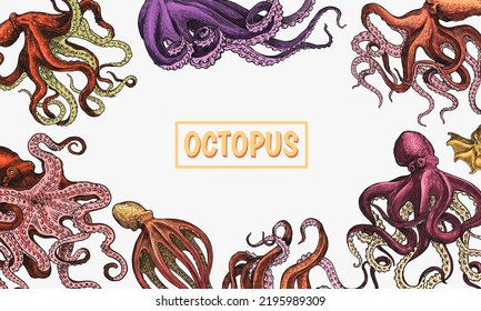 Sea octopus Background. Engraved hand drawn in old sketch, vintage creature. Nautical or marine, monster. Animal in the ocean. Template for logos, labels and emblems. Banner poster template.