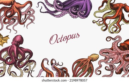 Sea octopus Background. Engraved hand drawn in old sketch, vintage creature. Nautical or marine, monster. Animal in the ocean. Template for logos, labels and emblems. Banner poster template.