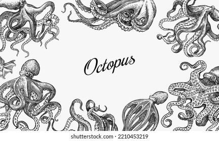 Sea octopus Background. Engraved hand drawn in old sketch, vintage creature. Nautical or marine, monster. Animal in the ocean. Template for logos, labels and emblems. Banner poster template.