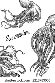 Sea octopus Background. Engraved hand drawn in old sketch, vintage creature. Nautical or marine, monster. Animal in the ocean. Template for logos, labels and emblems. Banner poster template.